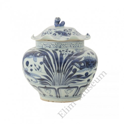 1317   A Yuan Dynasty lidded B&W Jar with fishes & pond plants